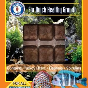 Cichlid Delight