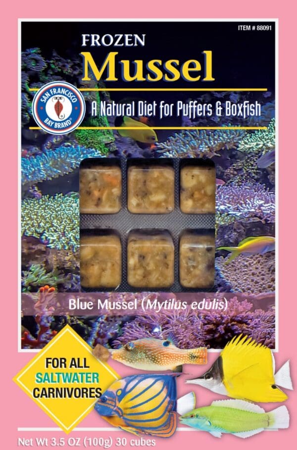 Mussel