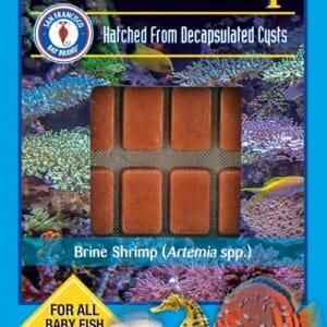 Baby Brine Shrimp