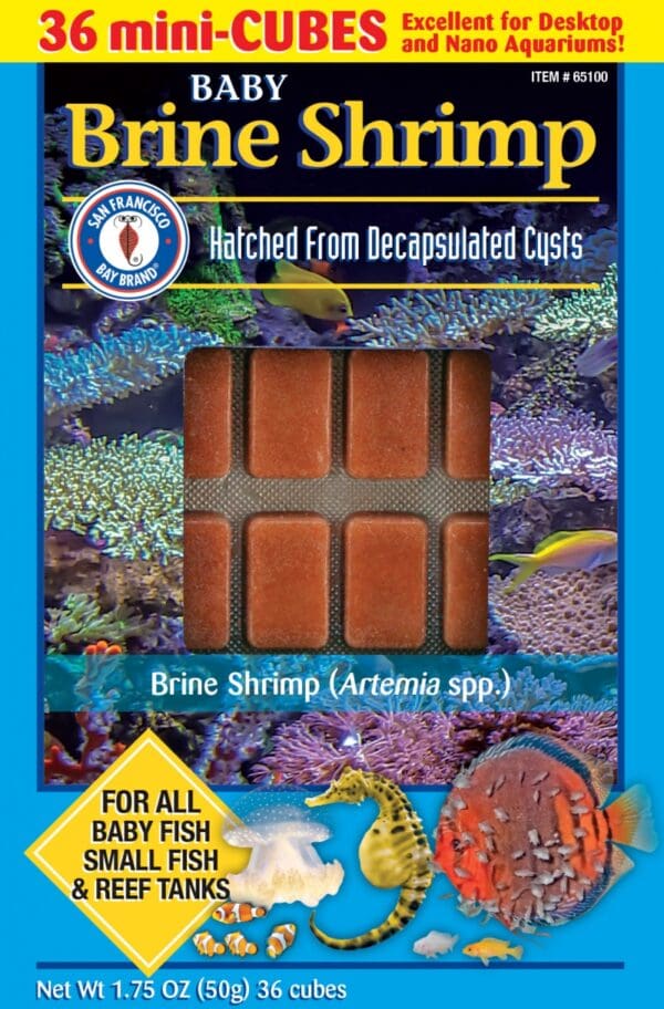 Baby Brine Shrimp