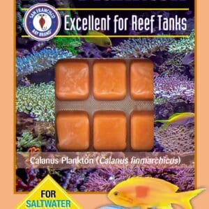 Reef Plankton