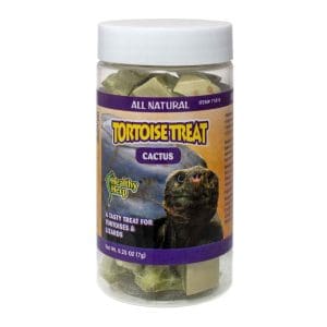 Tortoise Treat - Cactus