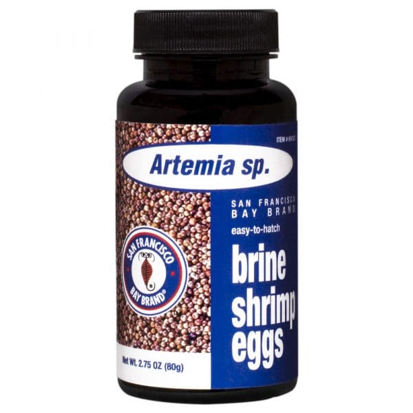 Brine Shrimp Eggs - Image 5
