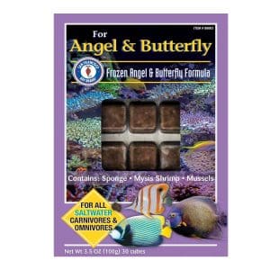 Angel & Butterfly