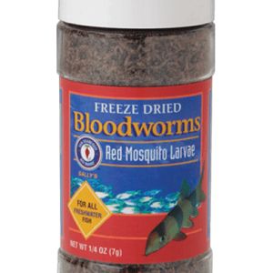Bloodworms