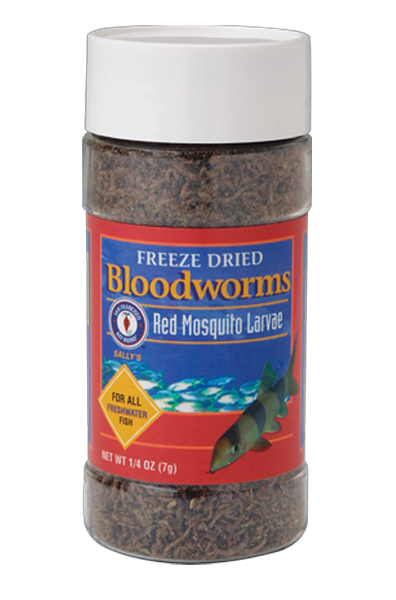 Bloodworms