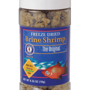 Brine Shrimp