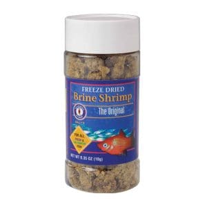 Brine Shrimp