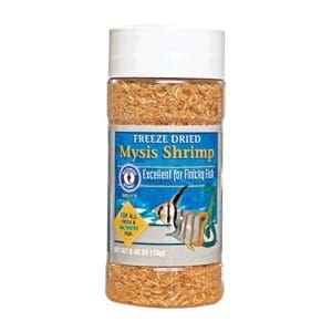 Mysis Shrimp