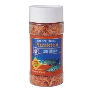 Plankton