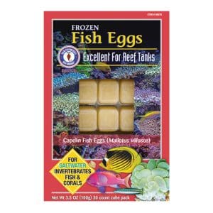 Fish Eggs