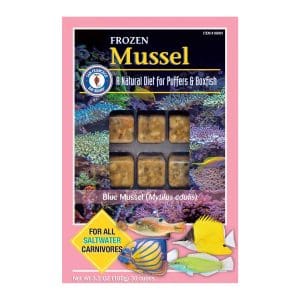 Mussel