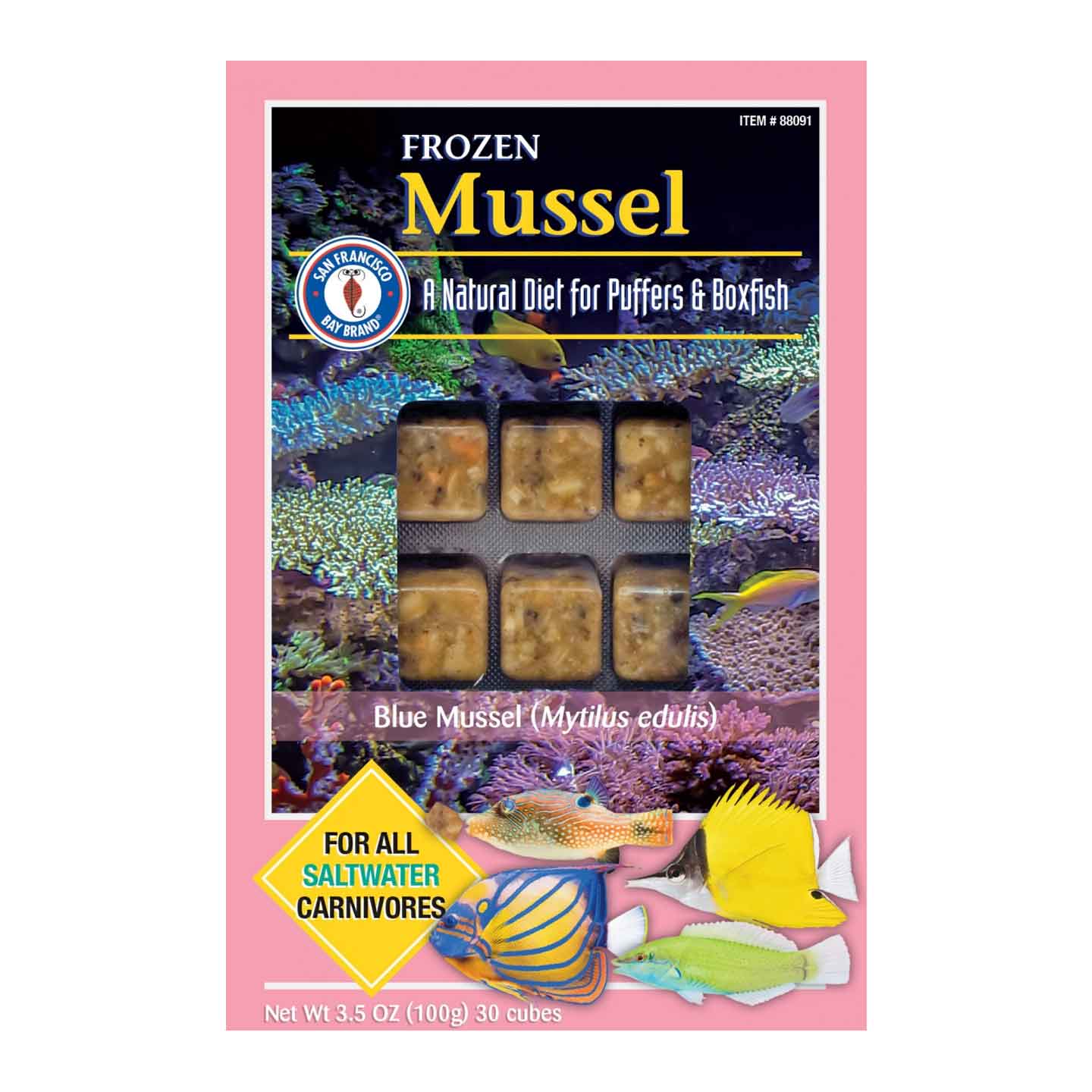 Mussel