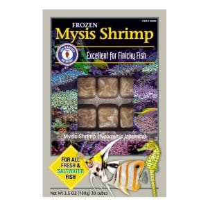 Mysis Shrimp