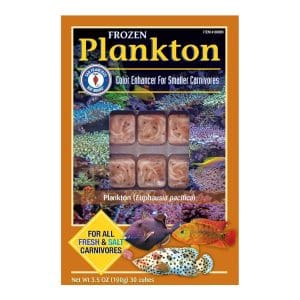 Plankton