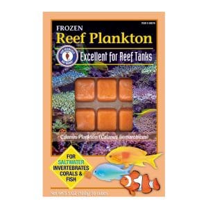Reef Plankton