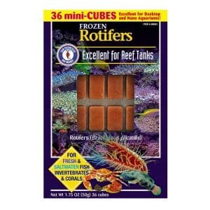 Rotifers