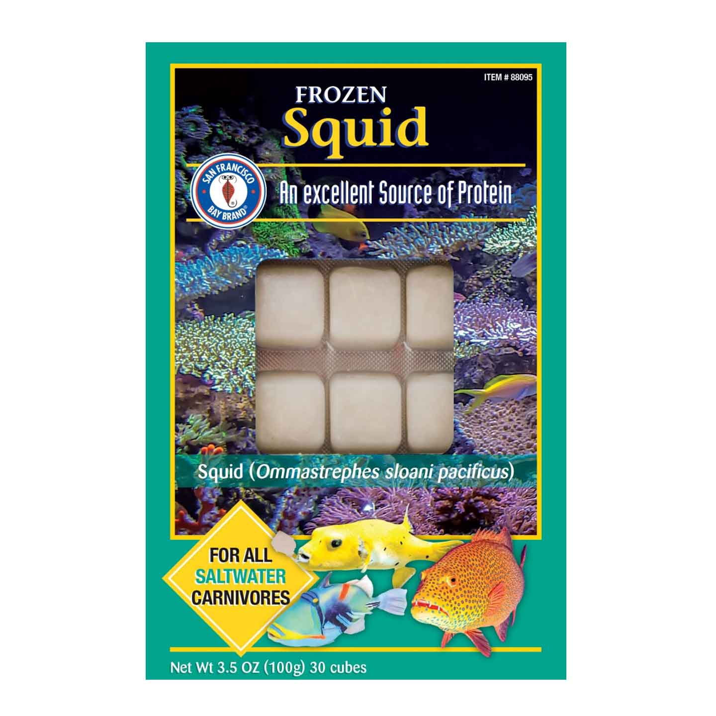 Squid