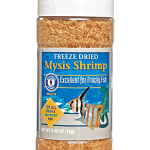 Mysis Shrimp