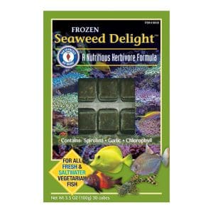 Seaweed Delight